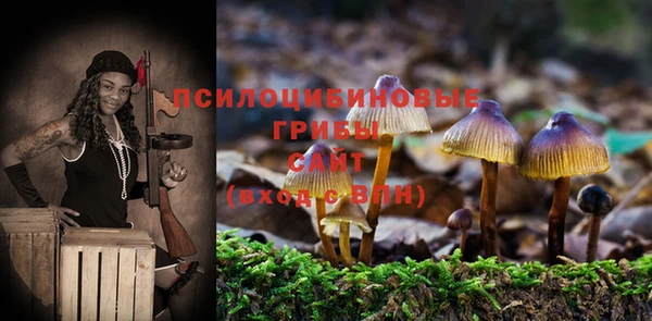 apvp Дмитров